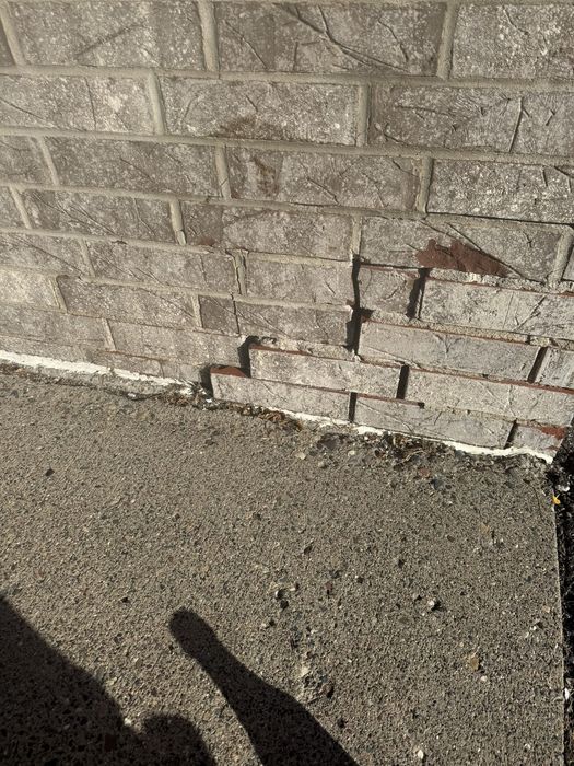 Brick: Before